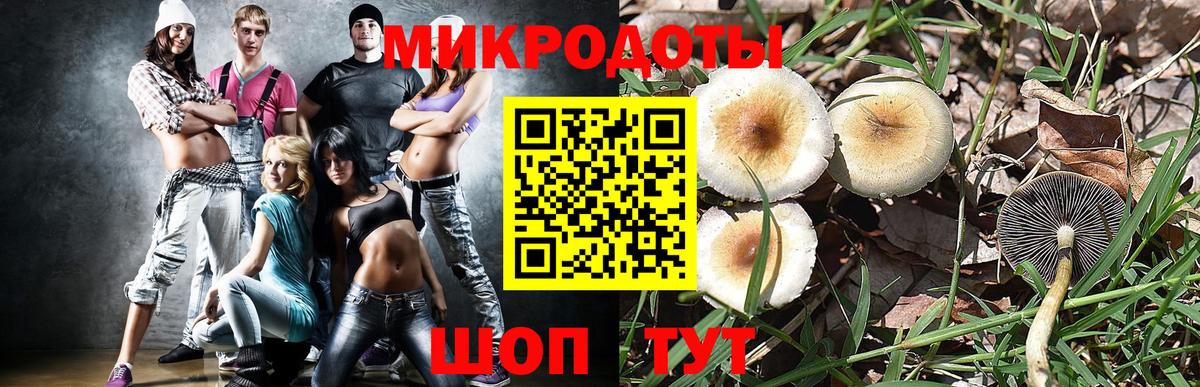 Галлюциногенные грибы Magic Shrooms Ярцево