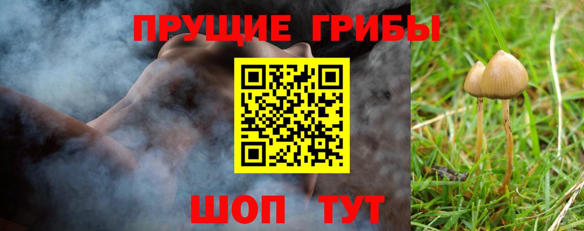 Ярцево  Галлюциногенные грибы мицелий  Вход с VPN 